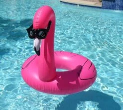 Cool Flamingo Pool Float With Shades, 56 Inch 3 Cool Flamingo Pool Float With Shades, 56 Inch -Cuddle House Toys Shop e26fb12cc0e4a1c49822cf249ffc06a4